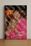 Evenement foto: 2424