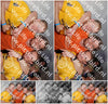 Evenement foto: 2424