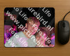 Evenement foto: 2422