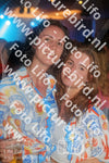 Evenement foto: 2422