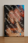 Evenement foto: 2422