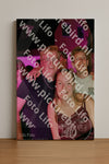Evenement foto: 2420