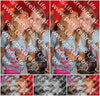 Evenement foto: 2420
