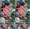 Evenement foto: 2419