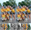 Evenement foto: 2419