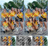 Evenement foto: 2419