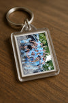 Evenement foto: 2418