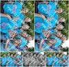Evenement foto: 2418