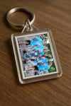 Evenement foto: 2418