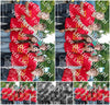 Evenement foto: 2418