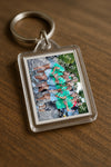 Evenement foto: 2418