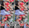 Evenement foto: 2418
