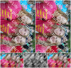 Evenement foto: 2418