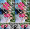 Evenement foto: 2418