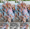 Evenement foto: 2417