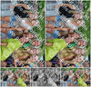 Evenement foto: 2417
