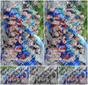 Evenement foto: 2417