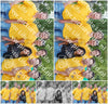 Evenement foto: 2417