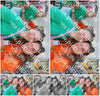 Evenement foto: 2416