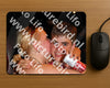 Evenement foto: 2362