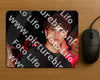 Evenement foto: 2357