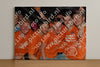 Evenement foto: 2356