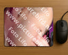 Evenement foto: 2356