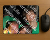 Evenement foto: 2355