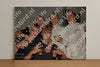 Evenement foto: 2351
