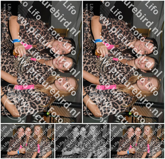 Evenement foto: 2351