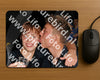 Evenement foto: 2348