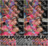 Evenement foto: 2344