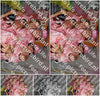 Evenement foto: 2343