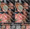 Evenement foto: 2338