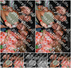 Evenement foto: 2338