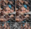 Evenement foto: 2338