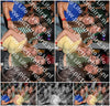 Evenement foto: 2338