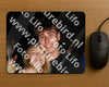 Evenement foto: 2338