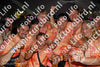 Evenement foto: 2338
