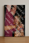 Evenement foto: 2337