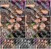 Evenement foto: 2336