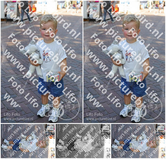 Evenement foto: 1229