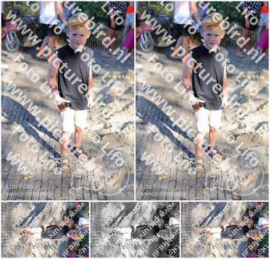 Evenement foto: 1229