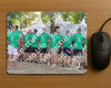 Evenement foto: 1229