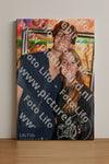 Evenement foto: 1157