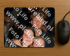 Evenement foto: 1157