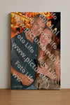 Evenement foto: 1155