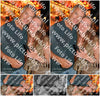 Evenement foto: 1155