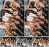 Evenement foto: 2012