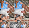 Evenement foto: 2008